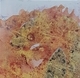 Orangescape