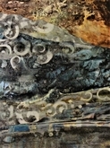 Sticks and Swirls