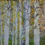 Through the Birch Trees 1